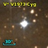 V* V1973 Cyg
