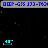 DEEP-GSS 173-7836