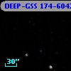 DEEP-GSS 174-6042