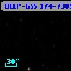 DEEP-GSS 174-7309