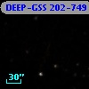 DEEP-GSS 202-749