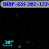 DEEP-GSS 202-1274