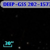 DEEP-GSS 202-1573