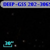 DEEP-GSS 202-3069