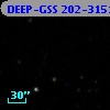 DEEP-GSS 202-3151