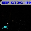 DEEP-GSS 202-4846