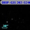 DEEP-GSS 202-5240