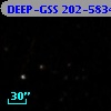 DEEP-GSS 202-5834