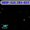 DEEP-GSS 203-657