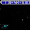 DEEP-GSS 203-847