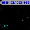 DEEP-GSS 203-950