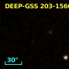 DEEP-GSS 203-1560