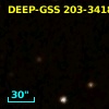 DEEP-GSS 203-3418