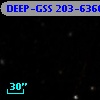 DEEP-GSS 203-6360