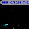 DEEP-GSS 203-7409