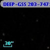 DEEP-GSS 203-7471