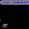 GALEX 2420616767487346183