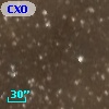 CXOU J205857.7+450008