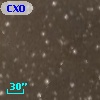CXOU J205834.6+445330