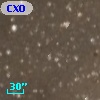 CXOU J205814.7+444606