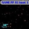 NAME PP 85 knot 1
