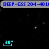 DEEP-GSS 204-4016