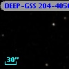 DEEP-GSS 204-4056