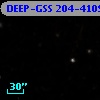 DEEP-GSS 204-4109
