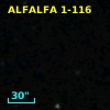 ALFALFA 1-116