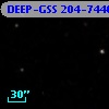 DEEP-GSS 204-7440