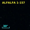 ALFALFA 1-157