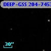 DEEP-GSS 204-7453
