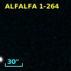 ALFALFA 1-264
