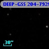 DEEP-GSS 204-7928