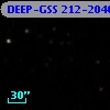 DEEP-GSS 212-2040