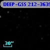 DEEP-GSS 212-3635