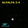 ALFALFA 2-4
