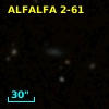 ALFALFA 2-61