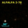 ALFALFA 2-78