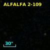 ALFALFA 2-109