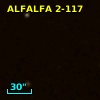 ALFALFA 2-117
