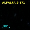 ALFALFA 2-171