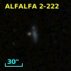 ALFALFA 2-222