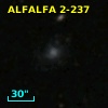 ALFALFA 2-237