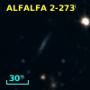 ALFALFA 2-273