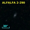 ALFALFA 2-290