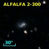 ALFALFA 2-300