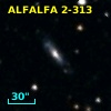 ALFALFA 2-313