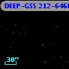 DEEP-GSS 212-6466