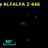 ALFALFA 2-446